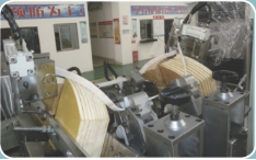 ZCN091DG-2200（1600）四臂全自動(dòng)數(shù)控定子線圈頂弧漲型機(jī)